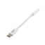 Picture of Gizzu USB Type-C to 3.5mm AUX Audio Adapter - White