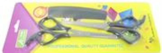 Picture of Casey Mens Hairdresser Scissors kit