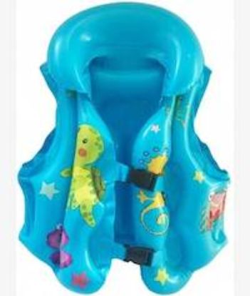 Picture of Casey Kids Small Inflatable Swimming Vest  Blue