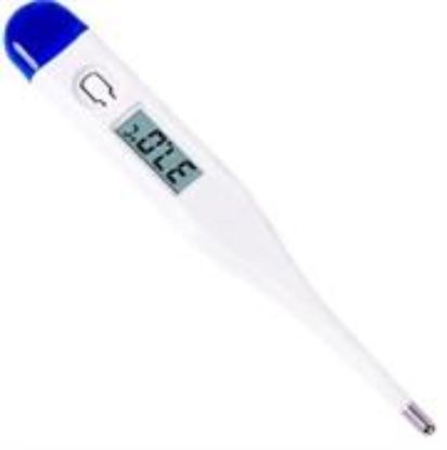 Picture of Casey Blue Electronic Thermometer