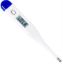Picture of Casey Blue Electronic Thermometer