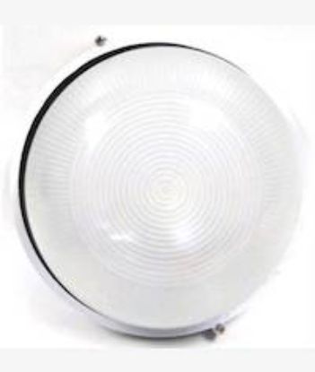 Picture of Noble Pays Bulkhead Light Fitting Large
