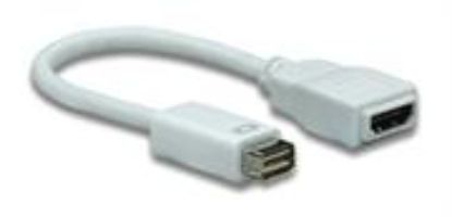 Picture of Manhattan Mini DVI 32P to HDMI 19F Cable