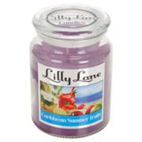 Picture of Lilly Lane Caribbean Summer Fruits Scented Candle Large