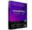 Picture of Kaspersky Premium Internet Security Software