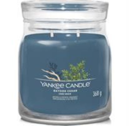 Picture of Yankee Candle Signature Collection Bayside Cedar Medium Jar