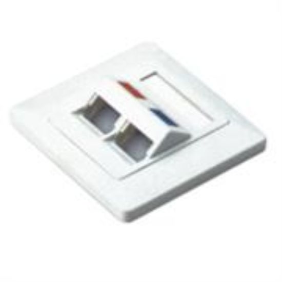 Picture of NetiX Angled Face Plate Dual Port with Shuttle
