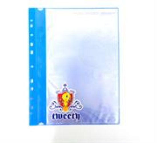 Picture of Tweety 11 Holes 10 Pockets Data Book