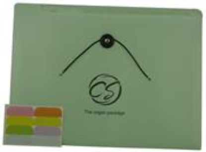 Picture of Brainware 8 Compartment Expanding File Organiser Green