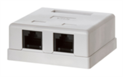Picture of Netix RJ45 Double Surface Mount Box 29-0020A