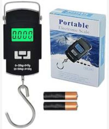 Picture of Casey Portable Electronic Digital Steel Handle Scale