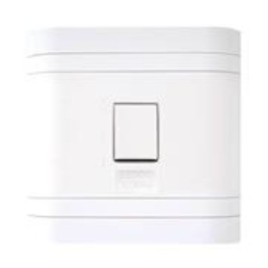 Picture of Lesco 50A 2 Pole Flush Isolator Switch