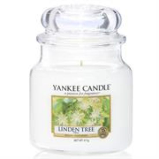 Picture of Yankee Candle Linden Tree Medium Jar