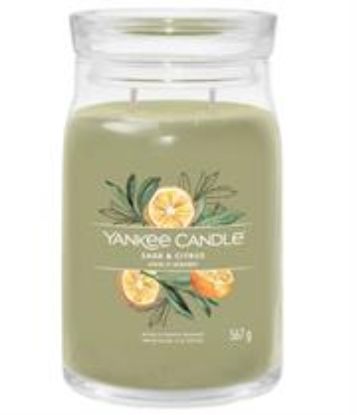 Picture of Yankee Candle Sage & Citrus Medium Jar