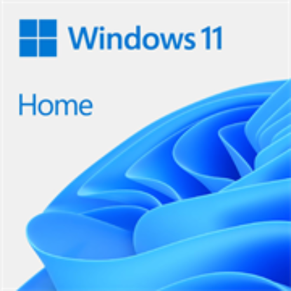 Picture of Microsoft Windows 11 Home DVD Single User License