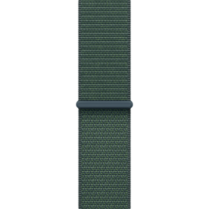 Picture of APPLE 42mm Lake Green Sport Loop