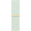 Picture of APPLE 41mm Soft Mint Sport Loop