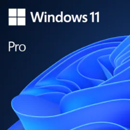 Picture of MICROSOFT WINDOWS11 PRO ESD