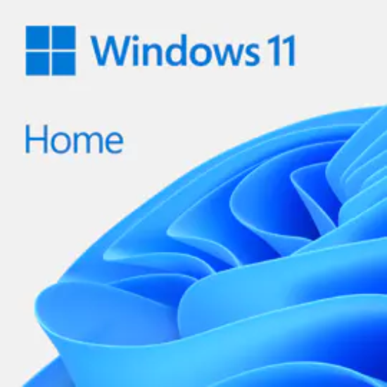 Picture of MICROSOFT WINDOWS11 HOME ESD