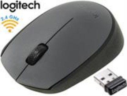 Picture of Logitech M170 Wireless Grey Mouse