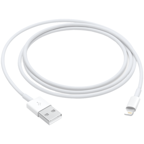 Picture of APPLE Out of Box Lightning to USB Cable (1m),Model A1480